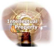 Интеллектуальная собственность